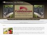 Cobblestone Title Services, Inc - Custom Business-Based Website Example